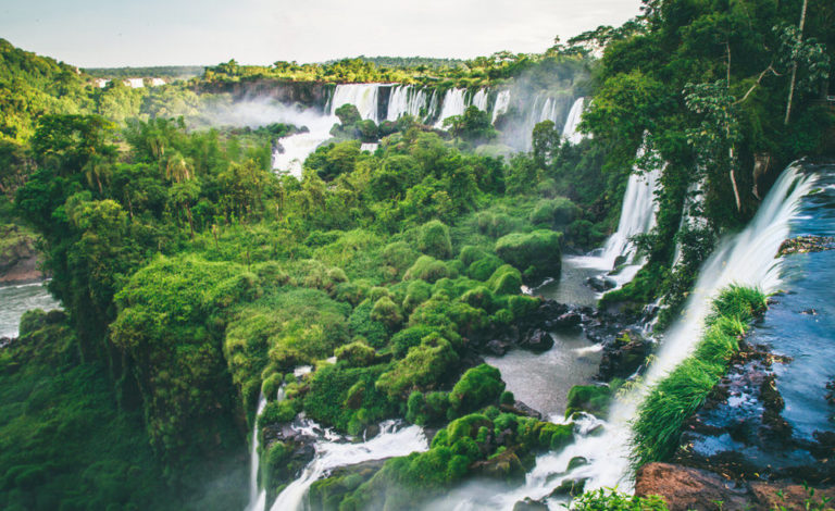 Treetops and Iguazú Falls waterfalls