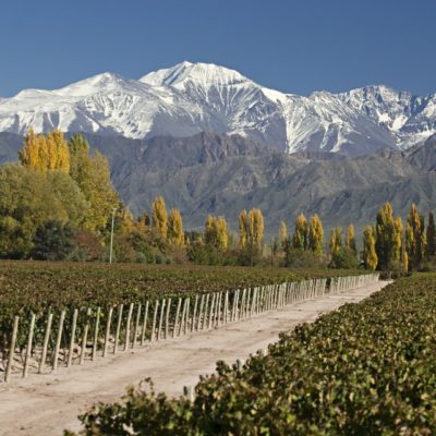 Mendoza, in the heart of wine country