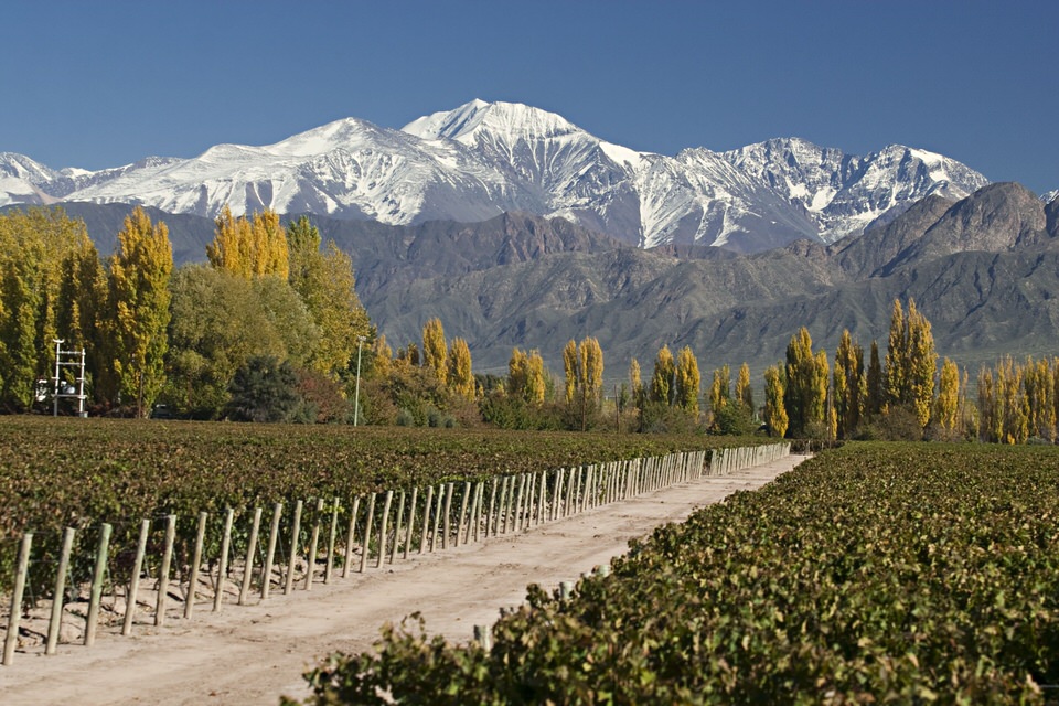 Mendoza, in the heart of wine country