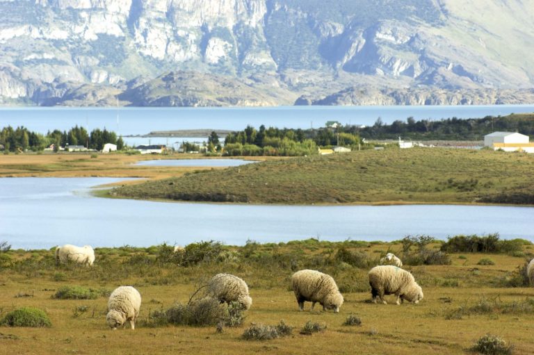 El Calafate - Nibepo ranch