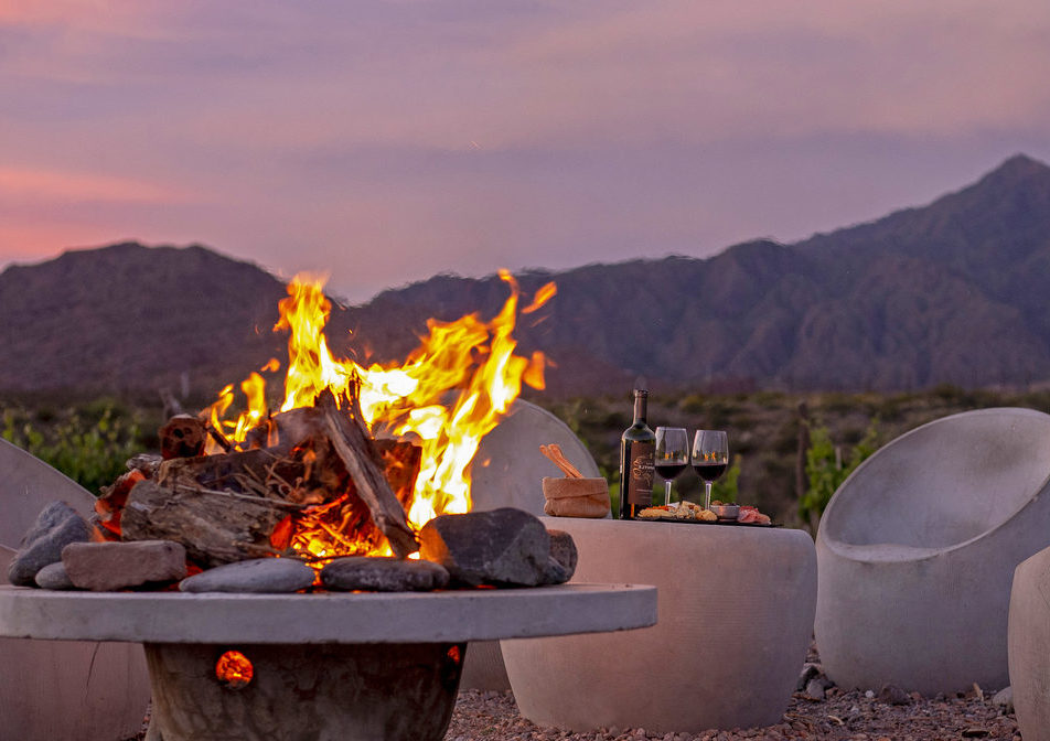 Land of Wines in Chile & Argentina