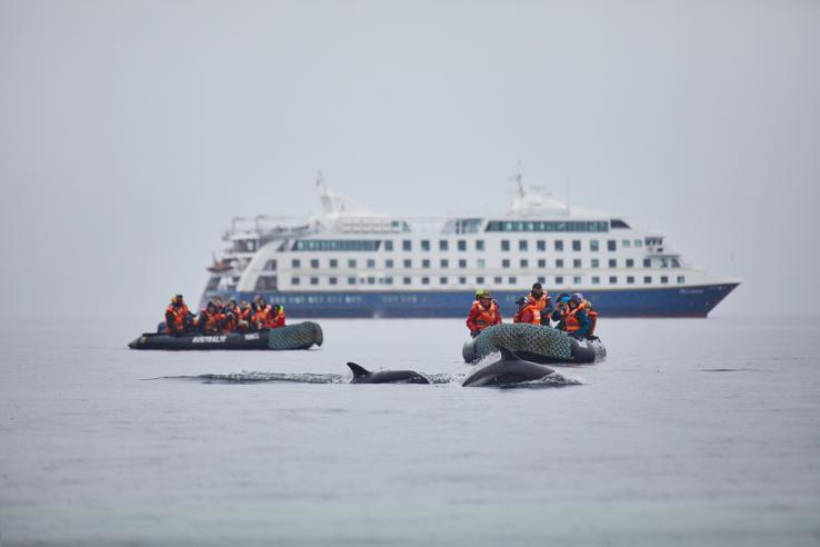 Two boats with passengers looking at Drake Passage wildlife 