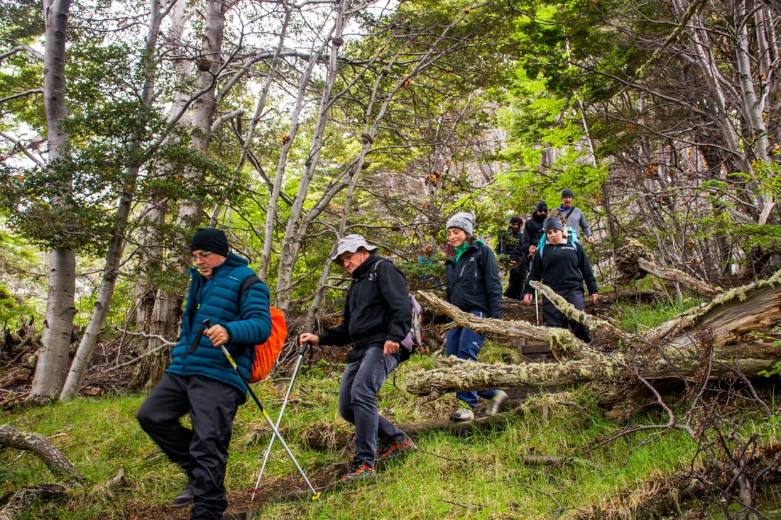 Patagonia Exclusiva: Un Viaje de Lujo y Trekking