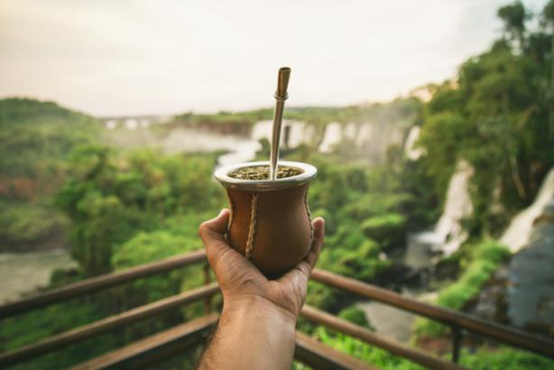 Iguazu-falls-mate