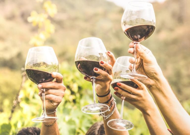 Wine destinations in Mendoza: Why and Where to go