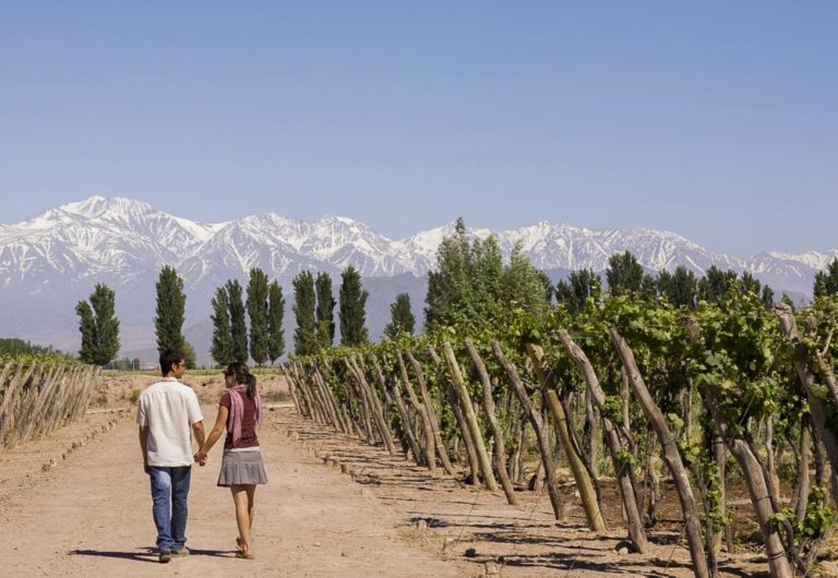 Top Things to Do in Mendoza