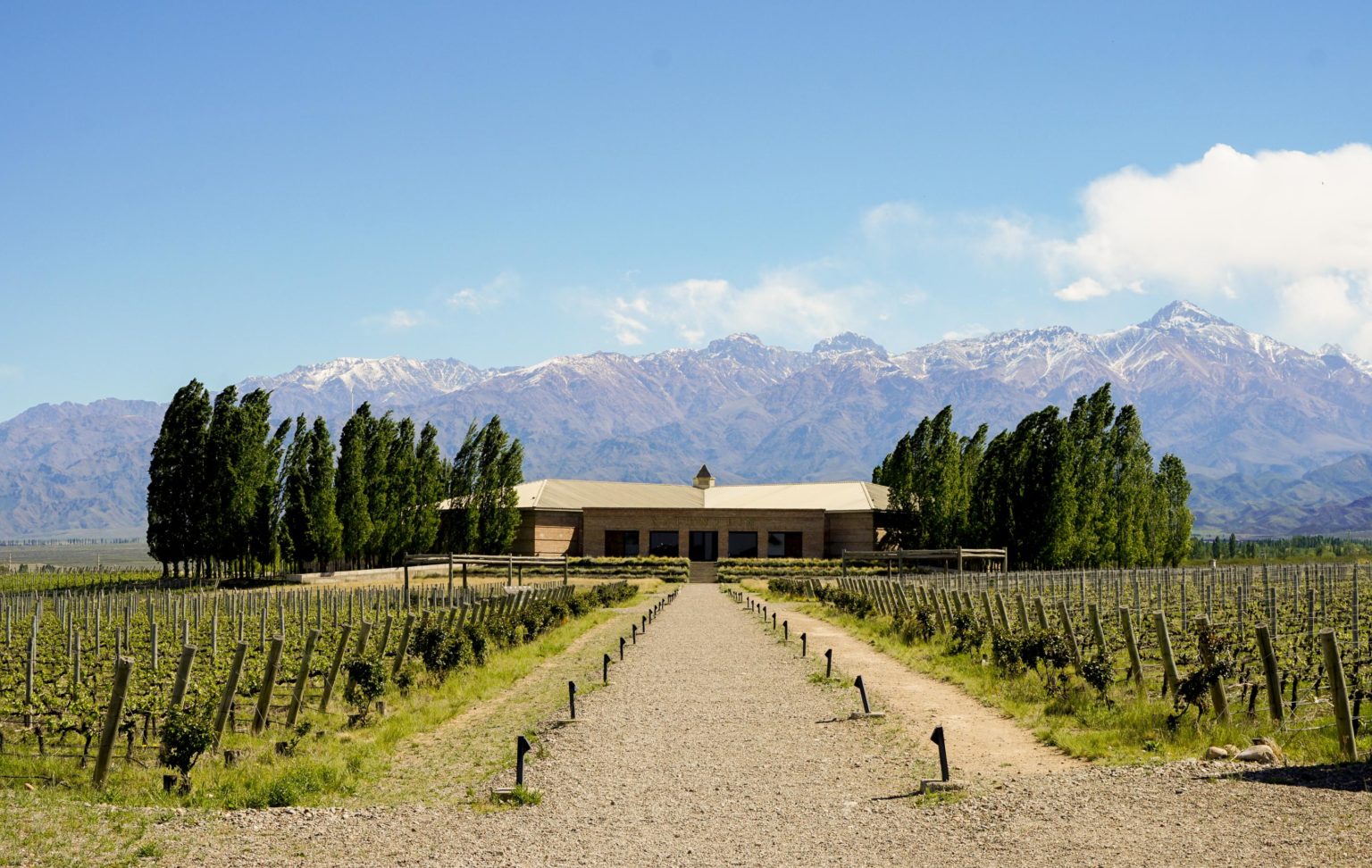 Mendoza - Wine tour