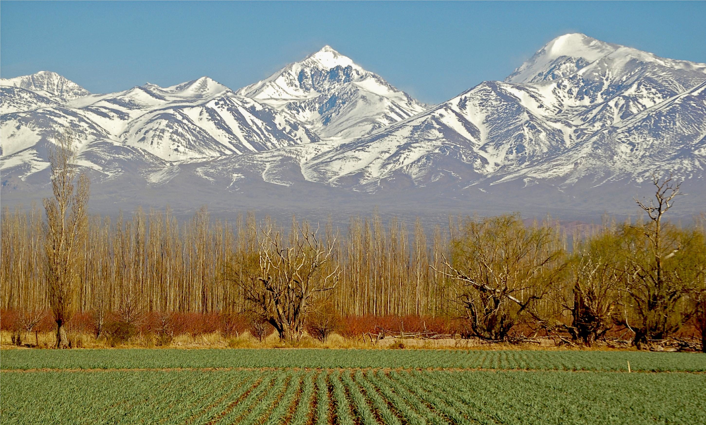 South America Wine Trip