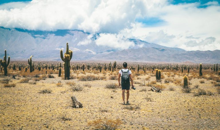salta-cultural-trip (17) salta-cultural-trip (17)