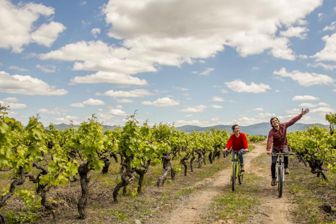 santiago-de-chile-wine-tour (2) Biking through a vineyard in Santiago de Chile