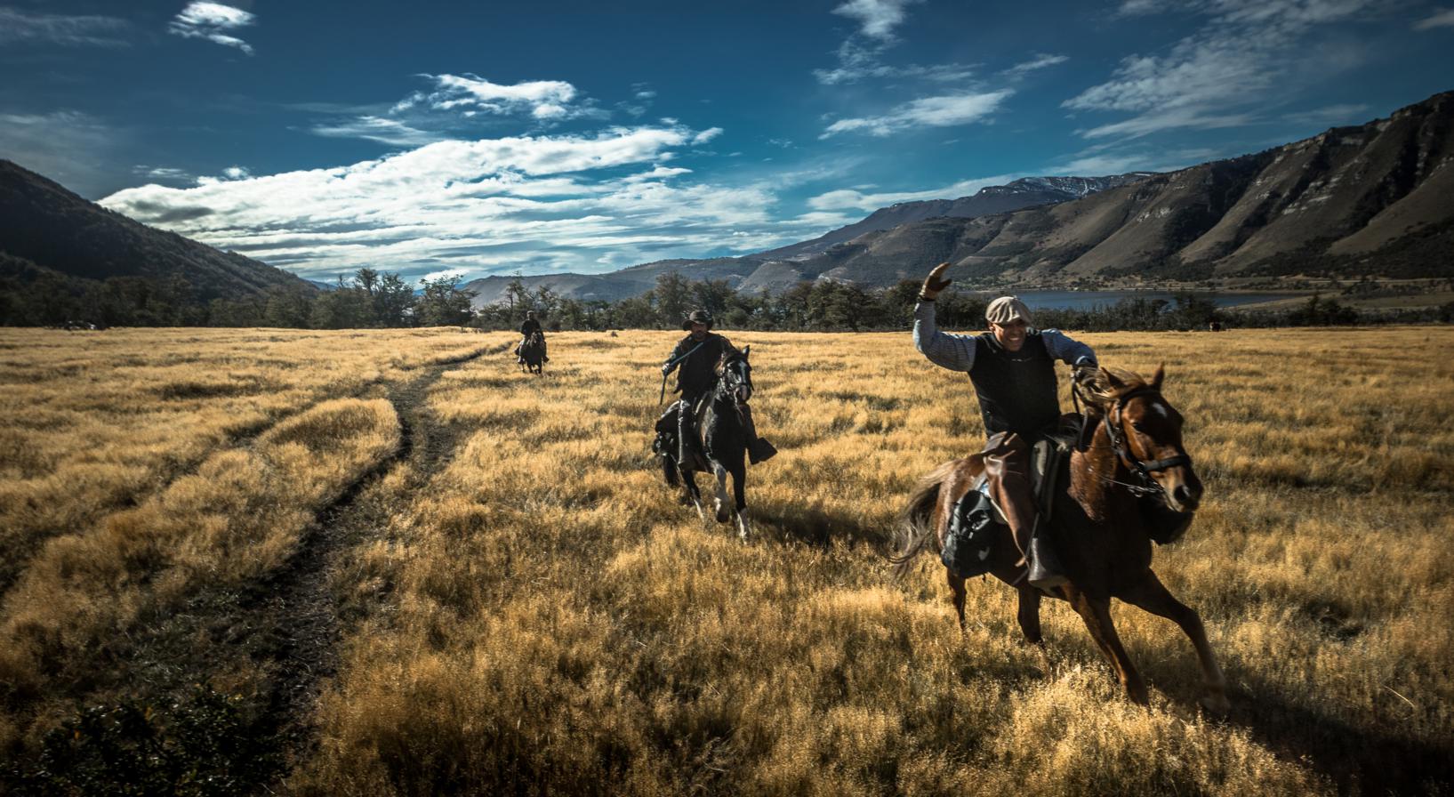 Vielen Dank f&uuml;r Ihre Anfrage! (Thank you for your inquiry &ndash; Patagonia)