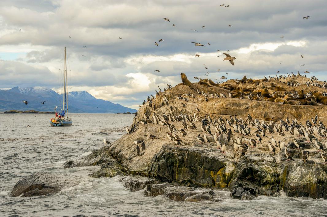 ushuaia-beagle-channel Ushuaia - Beagle Channel