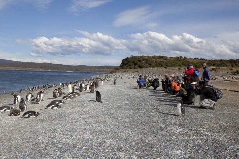 What is Patagonia Famous for?