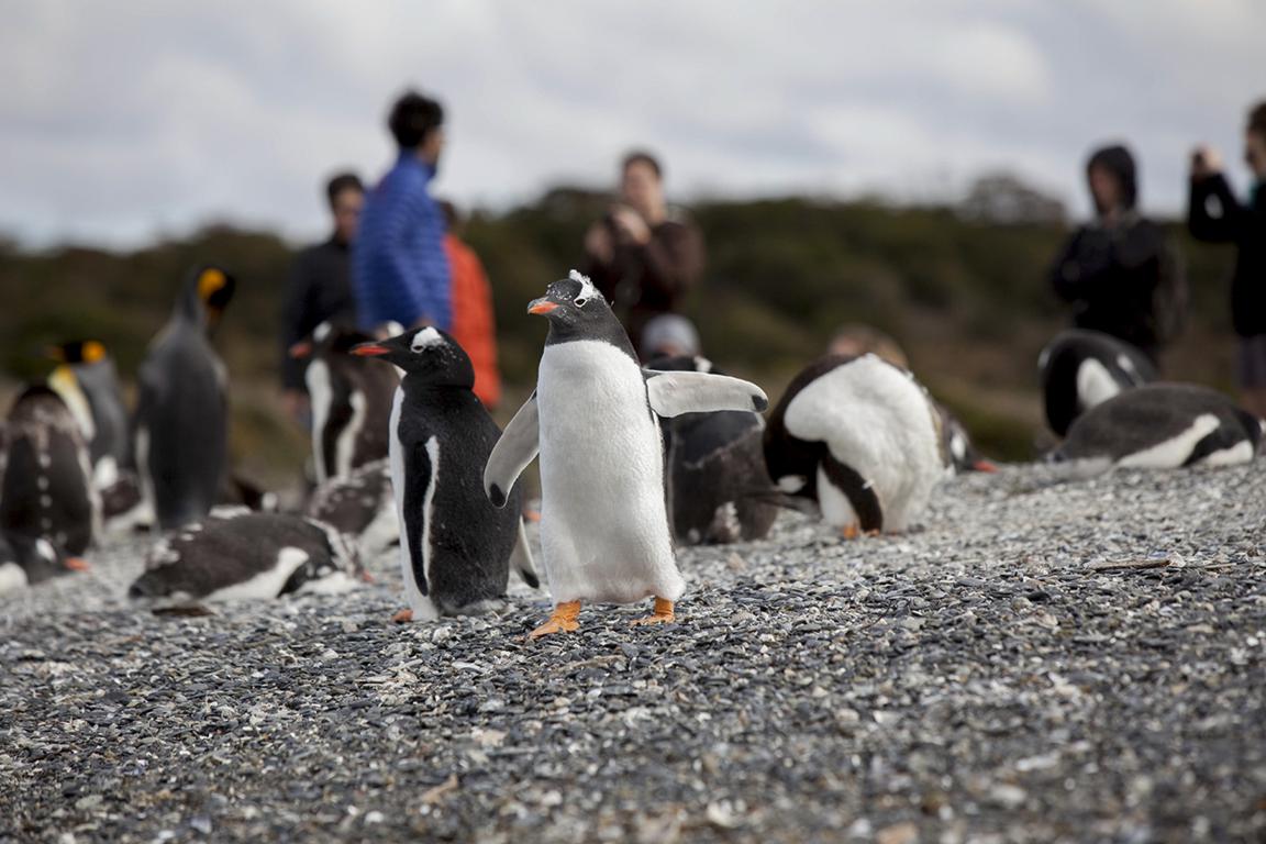 Ushuaia - Tierra-del-Fuego-National-Park