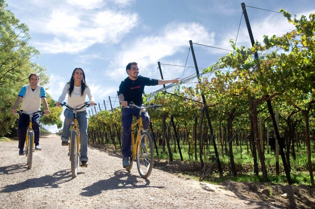 Mendoza - Bike Wine Tour