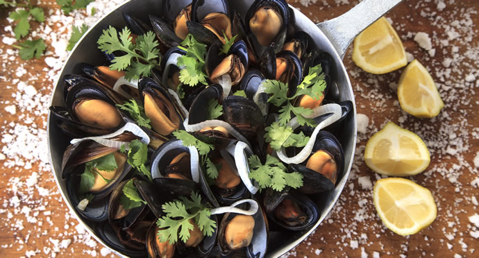 The Cravia - Ushuaia