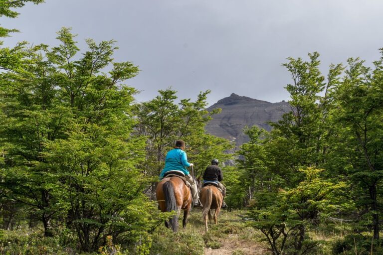 Horse-Riding-in-Paine-Hill-2 (1) (1)