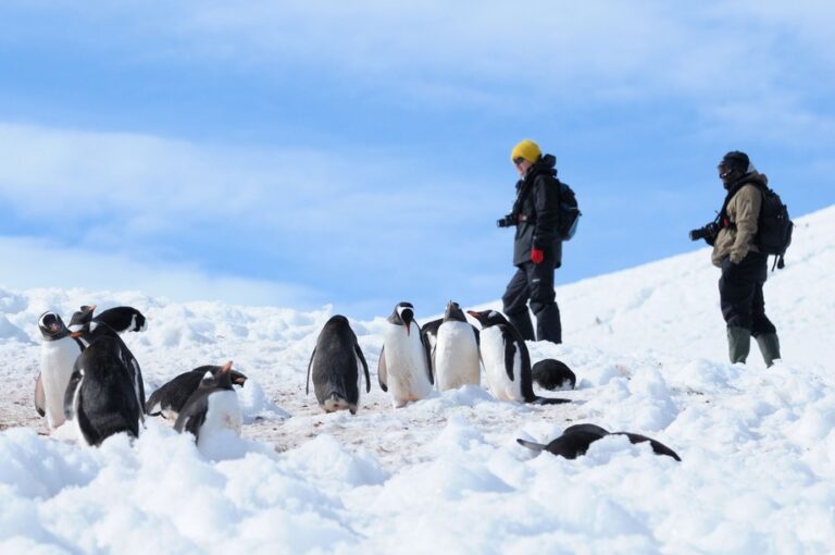 Travel to Antarctica: Tips for Planning Your Trip