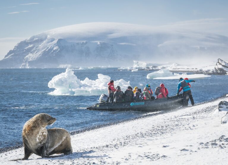 Passengers on a zodiac boat spoting a seal on the white beach.