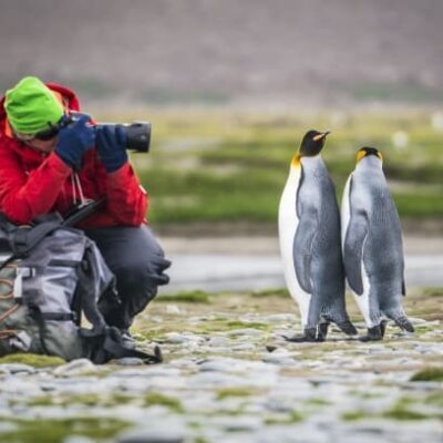 photographer taking photos of emperor penguins 
