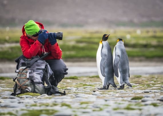 photographer taking photos of emperor penguins 