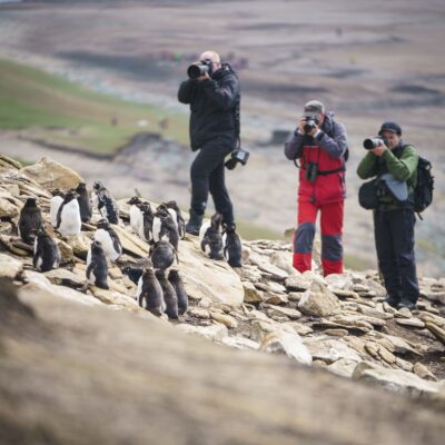 people taking photos of penguins in antarctica