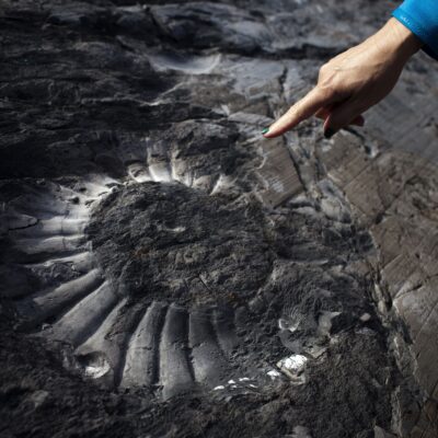 Fossil Canyon tour in El Calafate
